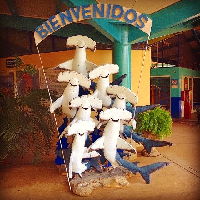 Parque Marino del Pacifico