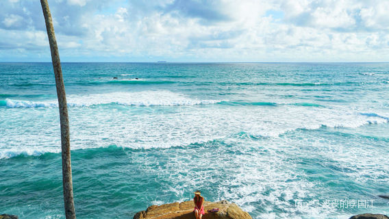 Coconut Tree Hill - Mirissa