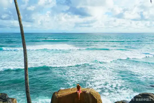 Hotels near Coconut Tree Hill - Mirissa