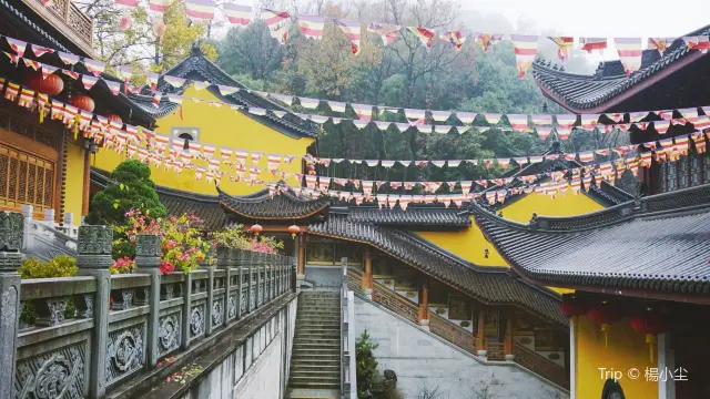 Hangzhou Buddhist Culture Experience