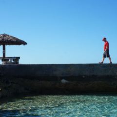 Staniel Cay Yacht Club Restaurant 여행 사진