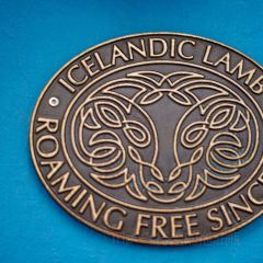 Islenski barinn The Icelandic Bar User Photo