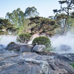 荖猎户·中华原烹雅宴艺术餐厅 User Photo