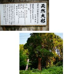 Nanoka User Photo