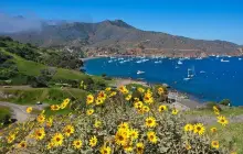 Santa Catalina Island