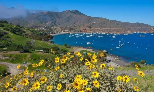Santa Catalina Island