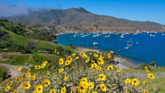 Santa Catalina Island