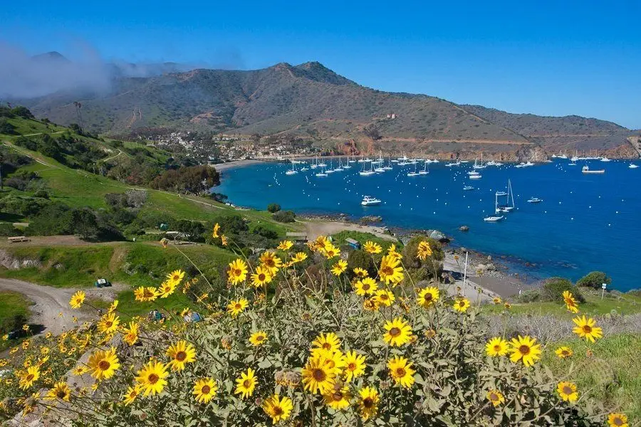 Santa Catalina Island