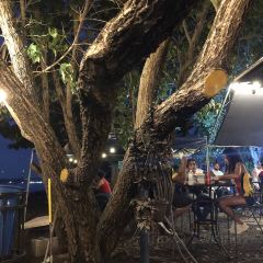 Gonzalez Sea Food Restaurant User Photo