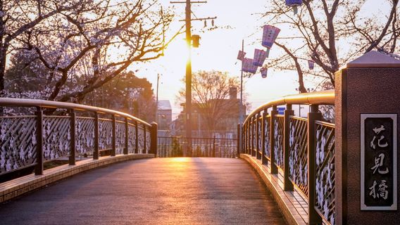 Shinsakai Riverbanks (Hyakujuro Sakura)