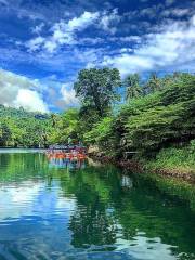 Loboc River Cruise