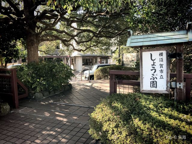 橫須賀市立しょうぶ園
