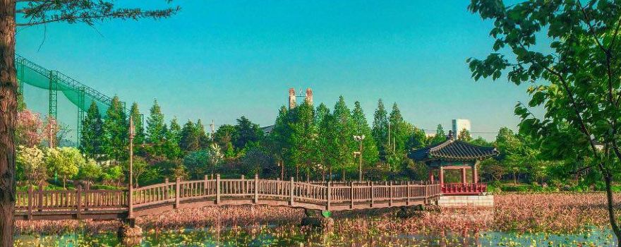 Deokjin Park