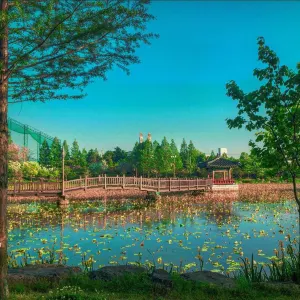 전주 덕진공원