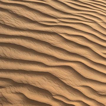 ルブアルハリ砂漠 ドバイ の旅行レビュー Trip Comトラベルガイド