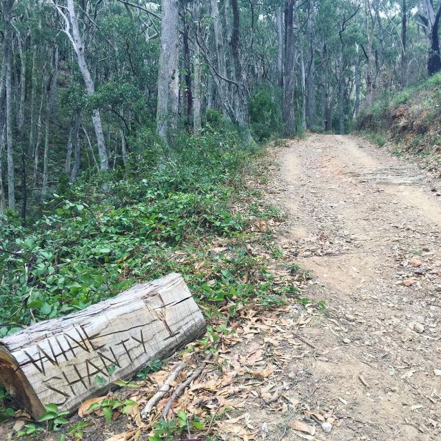 Cleland Conservation Park