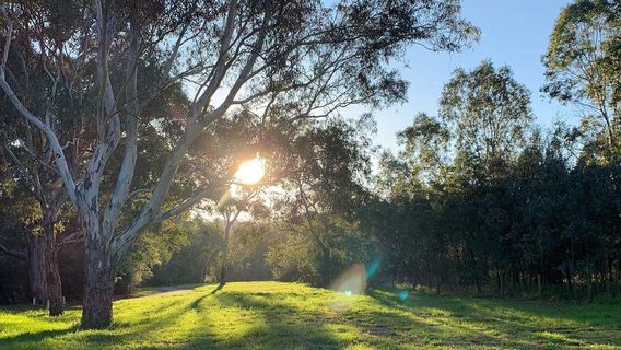 Brimbank Park (Parks Victoria)