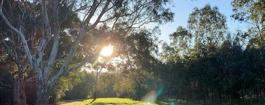 Brimbank Park