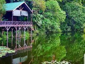 Rainforest Discovery Centre (RDC)