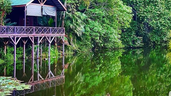 Rainforest Discovery Centre (RDC)