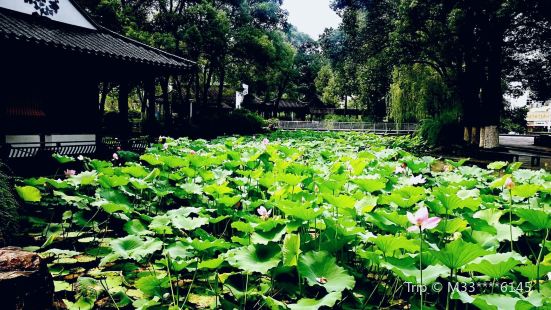 Zhongshan Park （West Gate）