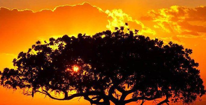 Arusha National Park