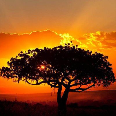 Arusha National Park