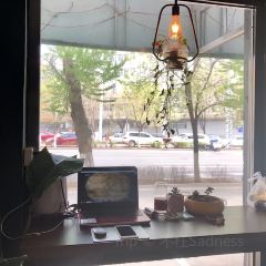 Manatee User Photo