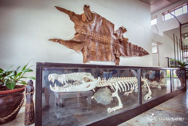 Palawan Wildlife Rescue and Consevation Center