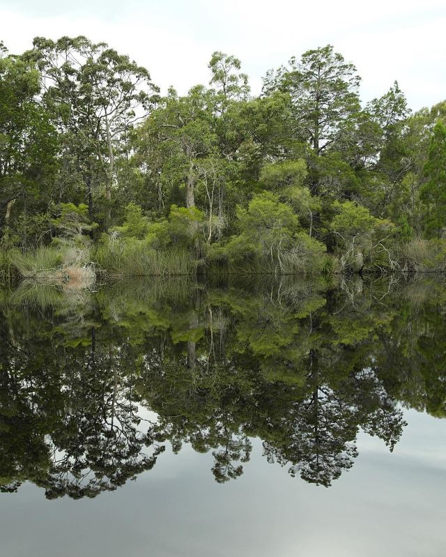 Everglades