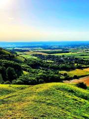 National Trust - Devil's Dyke