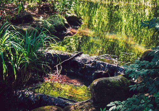 Peasholm Park