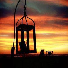 Singita User Photo