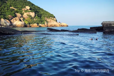 Zhou Zai Dao