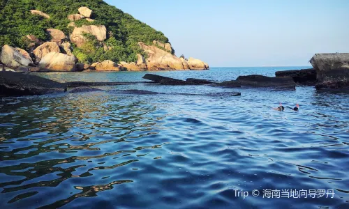 洲仔島