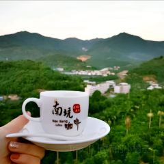 南坑咖啡观赏园 User Photo