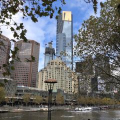 Arbory Bar & Eatery User Photo