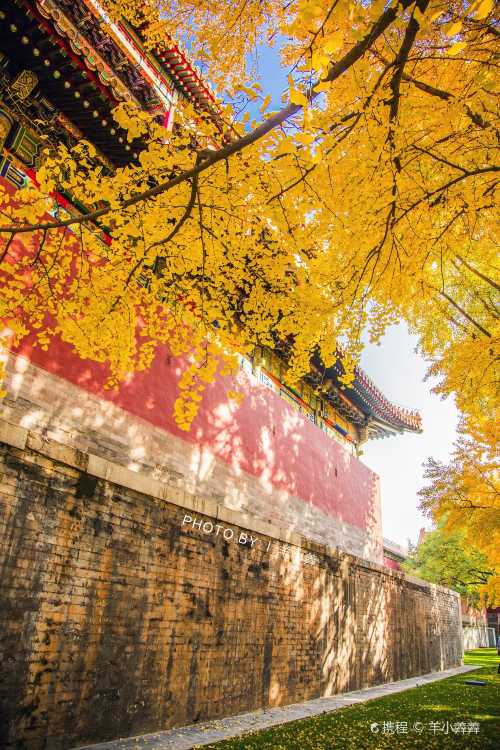 御花園