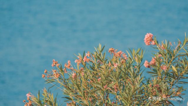 【私家小團含接送】千島湖一日+神秘觀景台+打卡網紅登塔+騎行