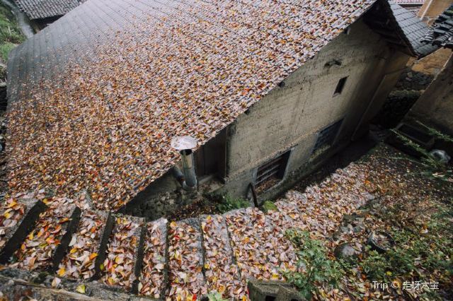 官浦垟村