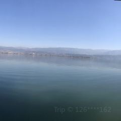 榕園張用戶圖片