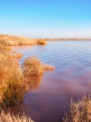 Laguna Salada de Torrevieja