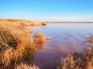 Лагуна Салада де Торревьеха