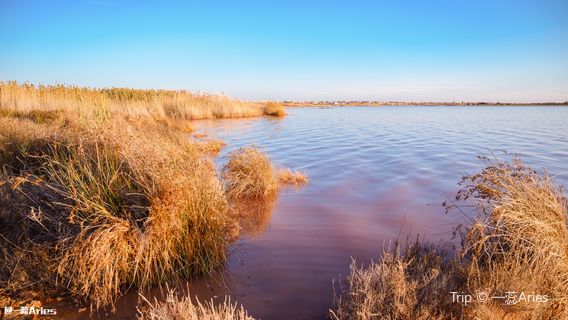 Laguna Salada de Torrevieja