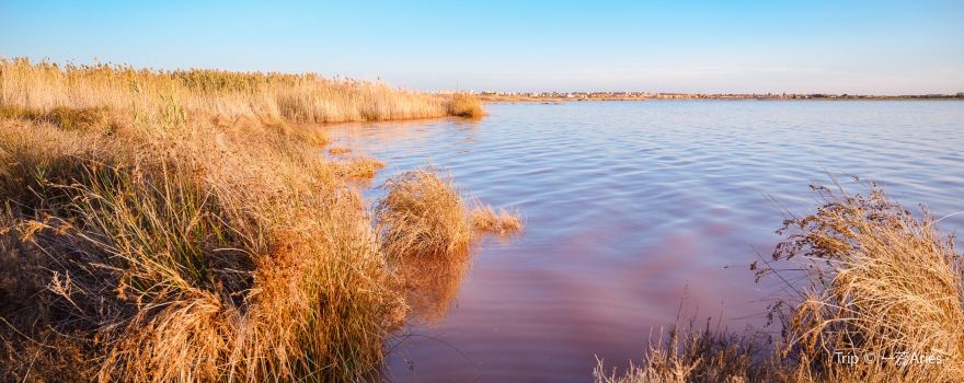 Laguna Salada de Torrevieja