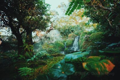 Chom Cafe and Restaurant