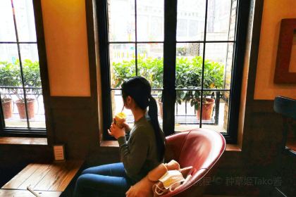 Starbucks (qingnianhui)