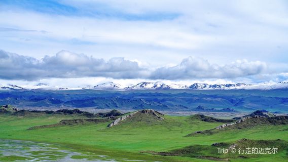 Bayanbulak Swan Lake
