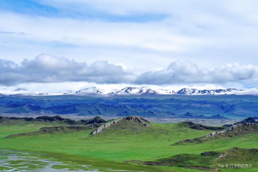 巴音布魯克天鵝湖風景區