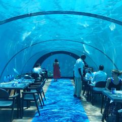 5.8 Undersea Restaurant張用戶圖片